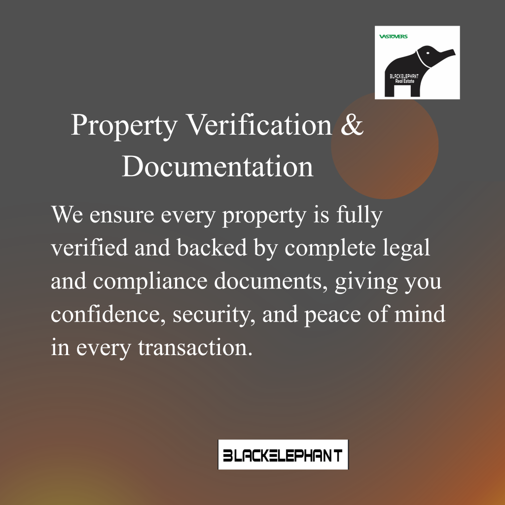 6.webp